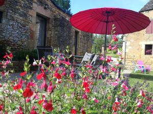 Maisons de vacances Gite Les Combes Montignac Lascaux : photos des chambres