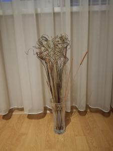 апартамент за гости Георгиеви