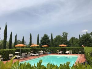 Casa Vacanze "Casale al Pino"