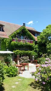 3 hvězdičkový hotel Landhotel Gut Greifhof Heiligenberg Německo