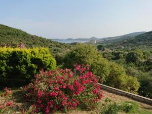 Apartment Ithakis Nea Iraklitsa