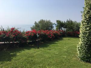 King Room with Lake View
