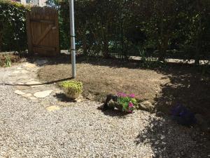 Appartements Les iris : photos des chambres