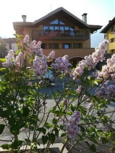 Appartamento Paganella