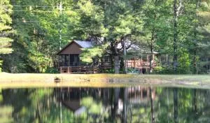 Rippling Waters Lodge Cabin - 迪尔斯伯勒