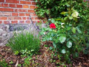 Nussbaumhof mit Koppel