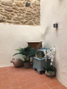 Villas La Jolie Vigneronne : photos des chambres