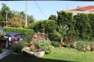 Soraja Apartments Izola