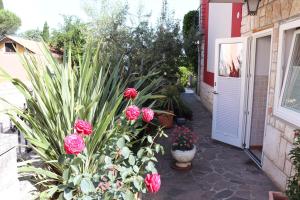 Soraja Apartments Izola