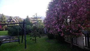Apartamenty-Wynajem pokoi Zbigniew Tylka