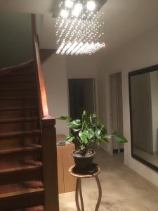 B&B / Chambres d'hotes Chambre ambiance campagne chic : photos des chambres