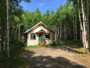 Talkeetna Mount Dall Cottage with WiFi&laundry
