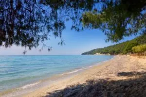 VV Luxury Experience - 弗尔卡