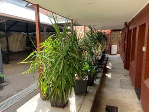 CROWN CENTRAL BUSINESS DISTRICT Motel