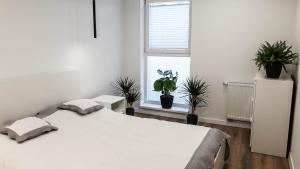 Apartamenty Pan Tadeusz Bażantów Katowice