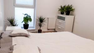 Apartamenty Pan Tadeusz Bażantów Katowice