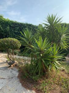 Maisons de vacances Villa Soledad : photos des chambres