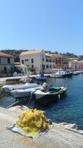 Villa Gaia Paxoi Greece