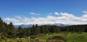 Résidence Les Pélerins - Les Angles