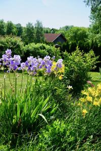 Ferienwohnung Auszeit im Pfaffenwinkel - Wessobrunn