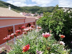 La brezza del Sud img6