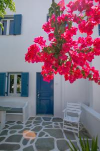 Acrogiali Beach Hotel Mykonos Myconos Greece