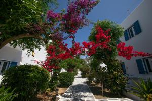 Acrogiali Beach Hotel Mykonos Myconos Greece