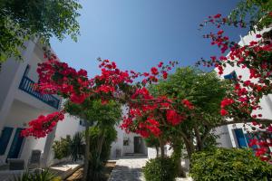 Acrogiali Beach Hotel Mykonos Myconos Greece