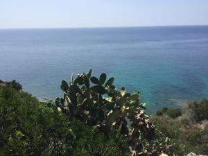 La brezza del Sud img39