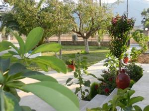 Villa Mantalena Zakynthos Greece