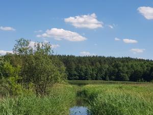Apartamenty Mazury