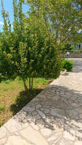 Apartments Vesna 