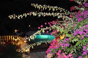 Dio Guesthouses Arkadia Greece