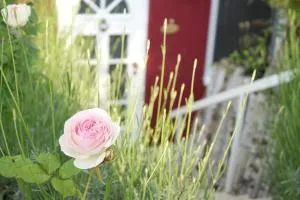"Gemütlich" 1-Zimmer Apartment nah am Wald - Mohuč