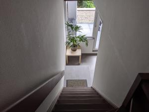 Terrasses de Malmedy H&H