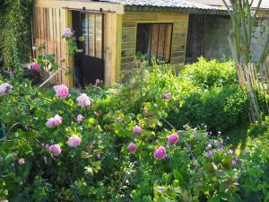 Maisons de vacances Le Clos du Carpe Diem : photos des chambres