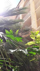 Appartements Domaine de La Coudouliere, Vue Mer, Plage, Piscine et Parc : photos des chambres
