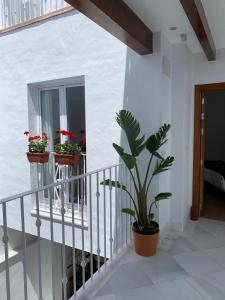 Studio - Disability Access room in 7Escalones