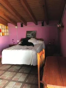 Terraza de Patria - Los Naveros