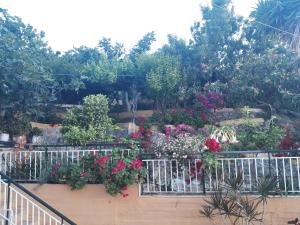 Trizinia View Garden Poros-Island Greece