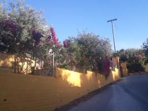 Trizinia View Garden Poros-Island Greece