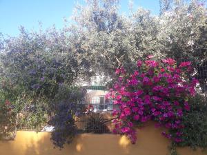 Trizinia View Garden Poros-Island Greece