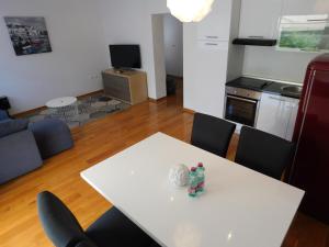 Apartment Novigrad Holiday 