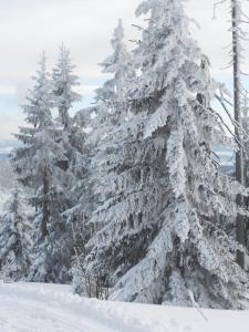 Ferienwohnung Casa MIA