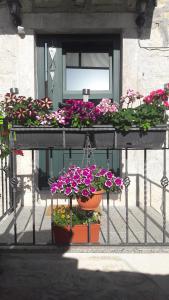 Apartment and Room Nona Stella