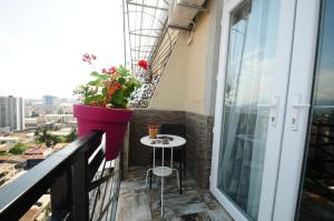 Apartments with a view of the Trinity Holy