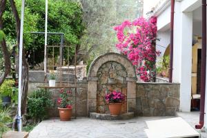 Art Flowers and Culture Lakonia Greece