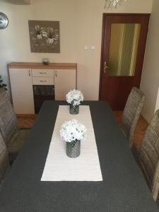 Apartments by the sea Zadar - Diklo, Zadar - 17199