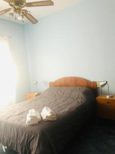 Amplio Departamento Familiar en San José