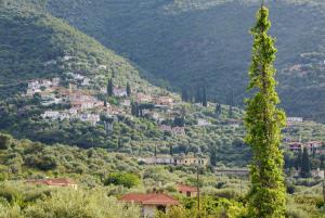 KAMVISSIS HOTEL Arkadia Greece